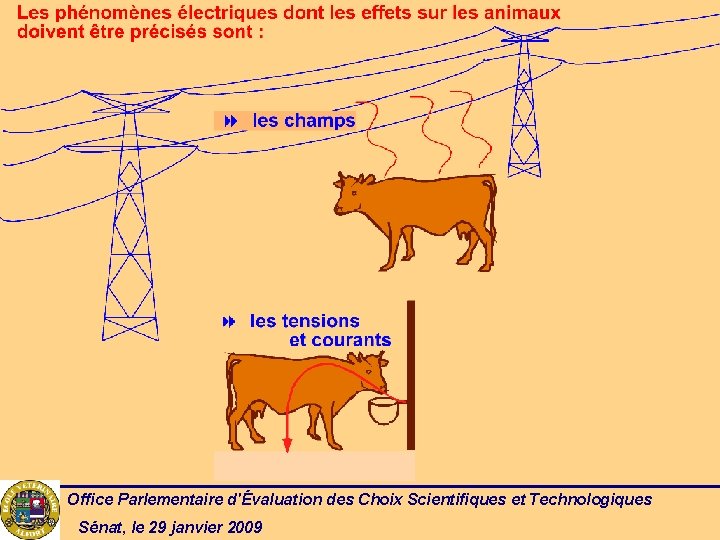 Office Parlementaire d'Évaluation des Choix Scientifiques et Technologiques Sénat, le 29 janvier 2009 