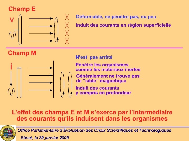 Office Parlementaire d'Évaluation des Choix Scientifiques et Technologiques Sénat, le 29 janvier 2009 