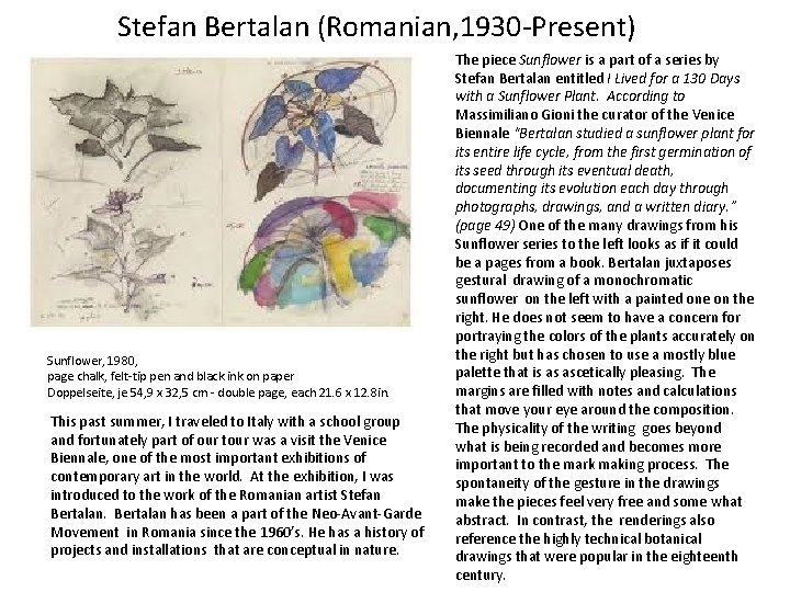 Stefan Bertalan (Romanian, 1930 -Present) Sunflower, 1980, page chalk, felt-tip pen and black ink