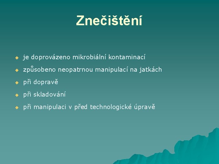 Znečištění u je doprovázeno mikrobiální kontaminací u způsobeno neopatrnou manipulací na jatkách u při