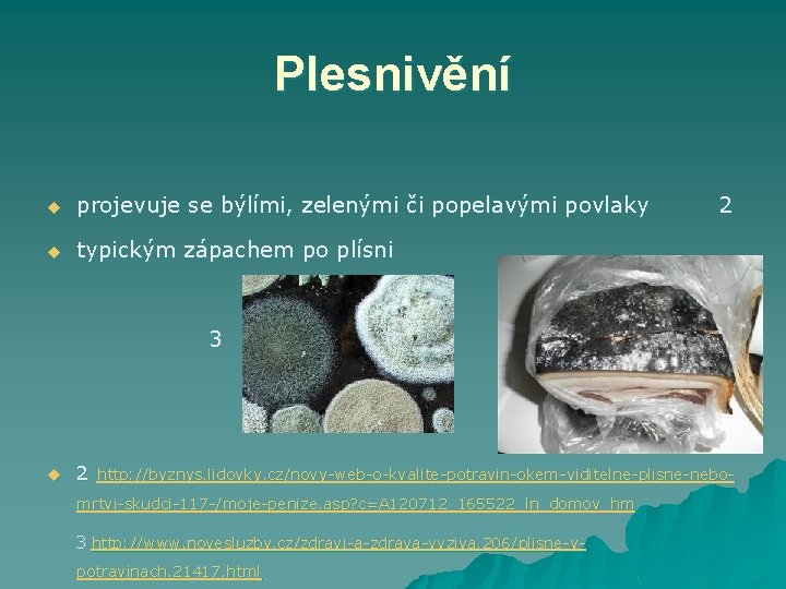 Plesnivění u projevuje se býlími, zelenými či popelavými povlaky u typickým zápachem po plísni