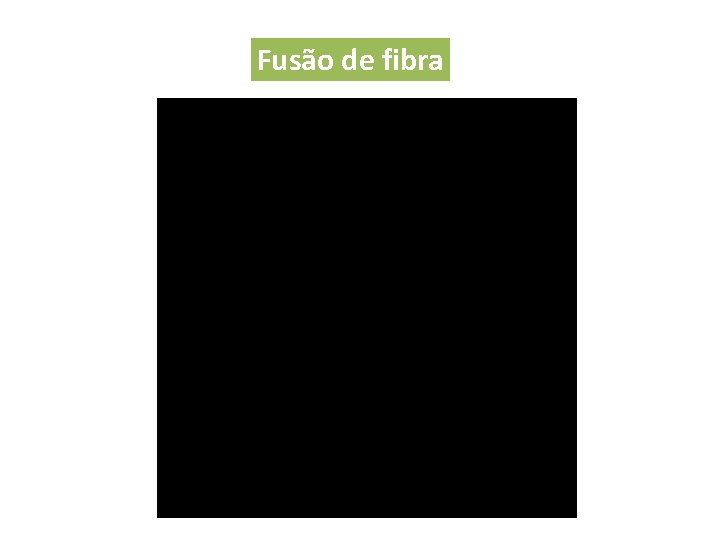 Fusão de fibra 