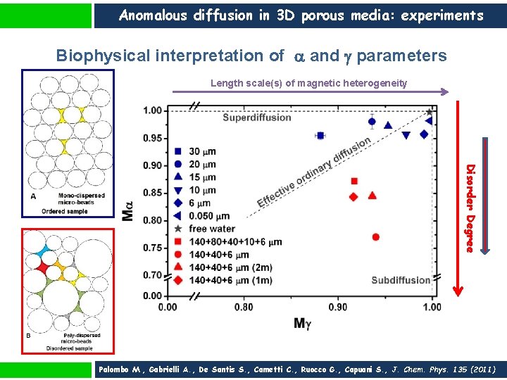 Anomalous diffusion in 3 D porous media: experiments Biophysical interpretation of and parameters Length