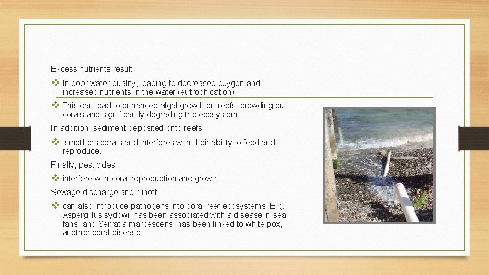 Excess nutrients result v In poor water quality, leading to decreased oxygen and increased