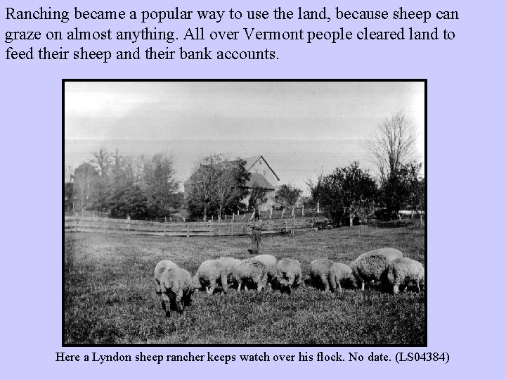 Ranching became a popular way to use the land, because sheep can graze on