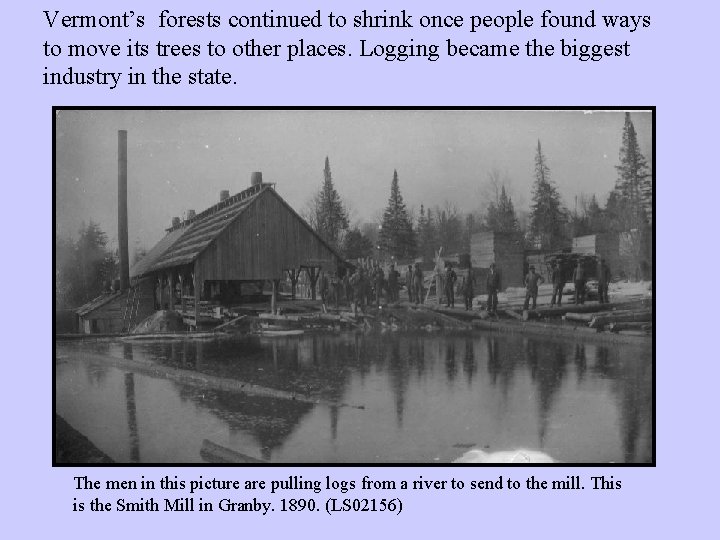 Vermont’s forests continued to shrink once people found ways to move its trees to