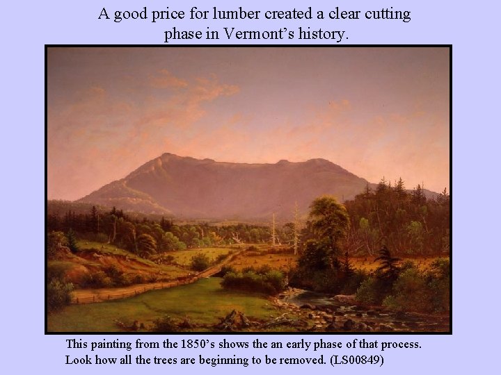 A good price for lumber created a clear cutting phase in Vermont’s history. This