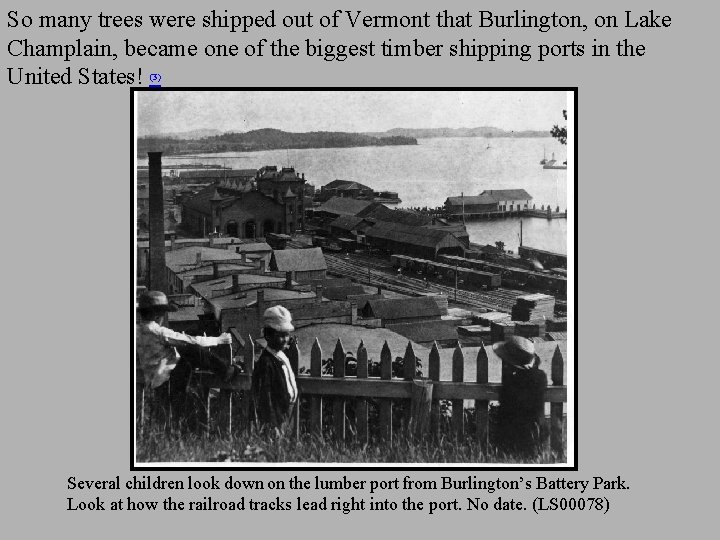 So many trees were shipped out of Vermont that Burlington, on Lake Champlain, became