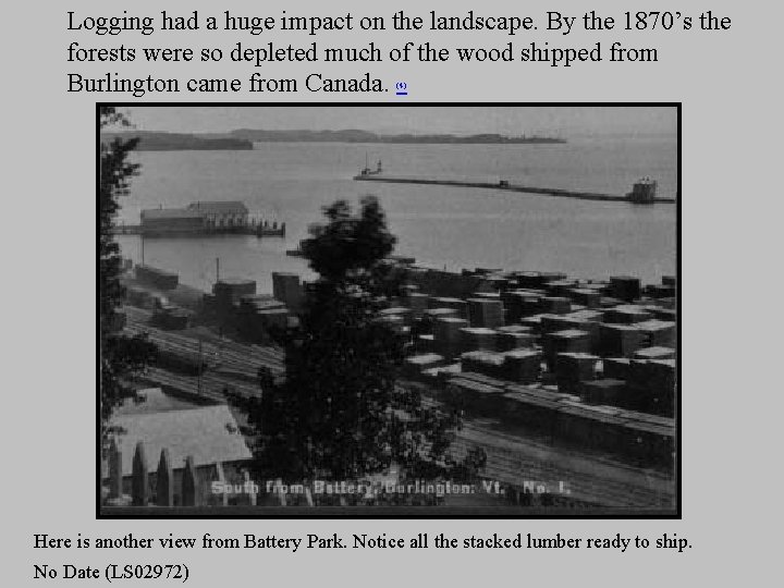 Logging had a huge impact on the landscape. By the 1870’s the forests were