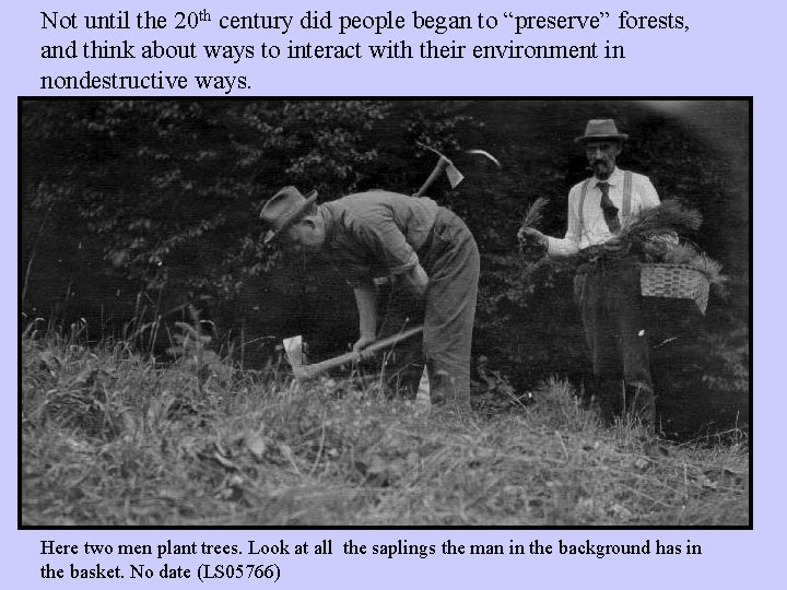 Not until the 20 th century did people began to “preserve” forests, and think