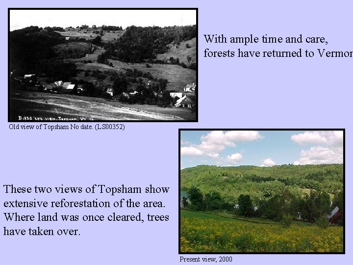 With ample time and care, forests have returned to Vermon Old view of Topsham