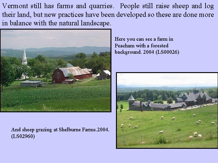 Vermont still has farms and quarries. People still raise sheep and log their land,