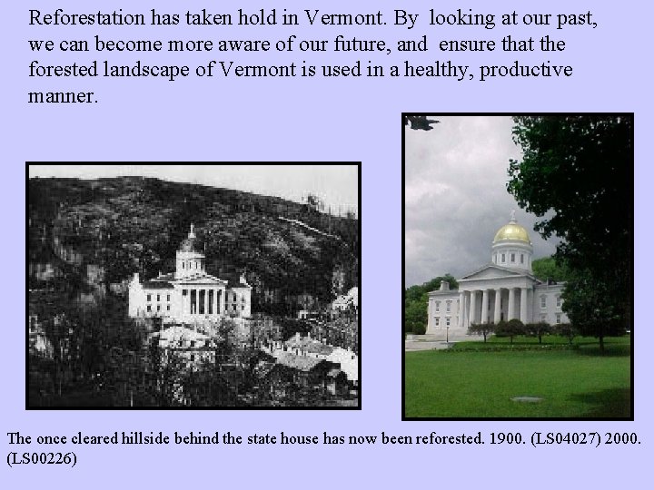 Reforestation has taken hold in Vermont. By looking at our past, we can become