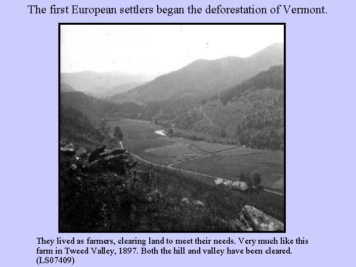 The first European settlers began the deforestation of Vermont. They lived as farmers, clearing