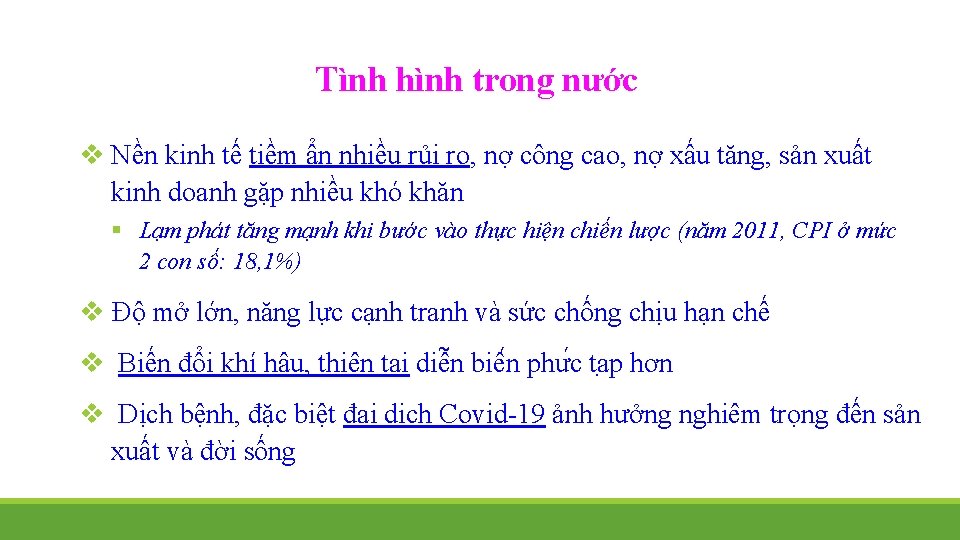 Tình hình trong nước v Nền kinh tế tiềm ẩn nhiều rủi ro, nợ