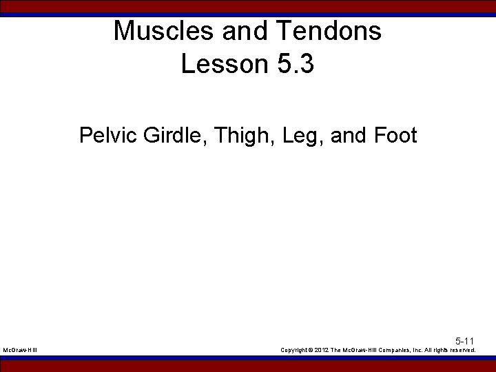 Muscles and Tendons Lesson 5. 3 Pelvic Girdle, Thigh, Leg, and Foot Mc. Graw-Hill