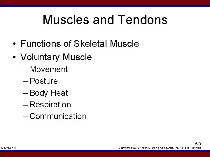 Muscles and Tendons • Functions of Skeletal Muscle • Voluntary Muscle – Movement –