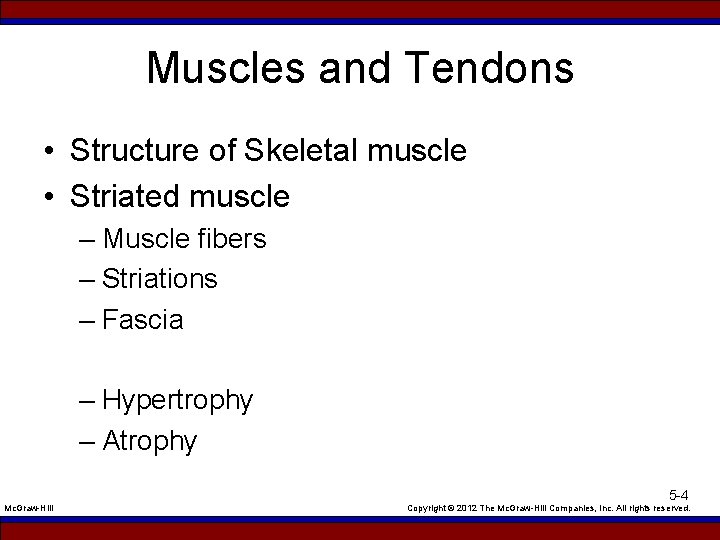 Muscles and Tendons • Structure of Skeletal muscle • Striated muscle – Muscle fibers