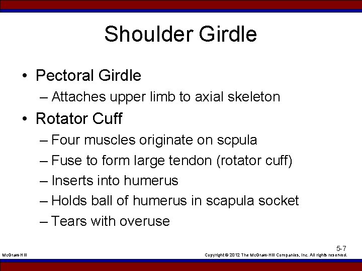 Shoulder Girdle • Pectoral Girdle – Attaches upper limb to axial skeleton • Rotator