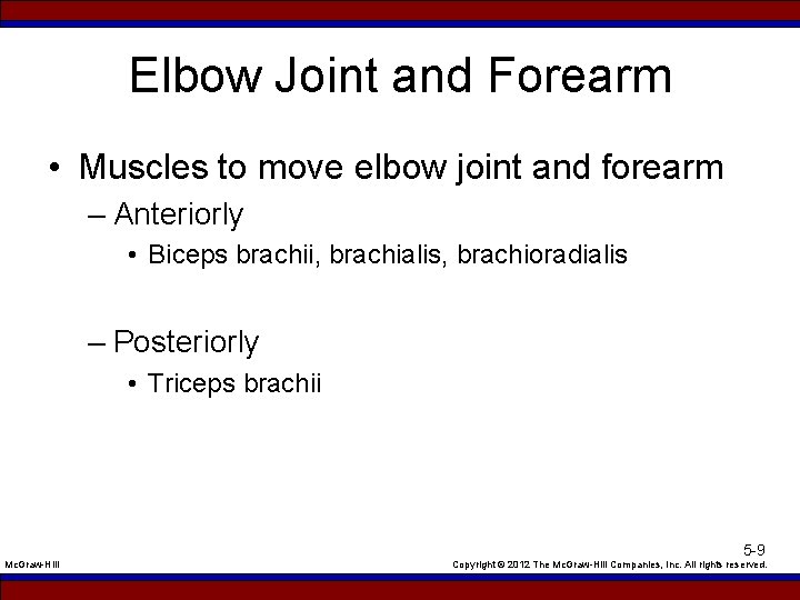 Elbow Joint and Forearm • Muscles to move elbow joint and forearm – Anteriorly