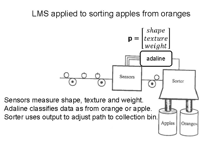 LMS applied to sorting apples from oranges A adaline Sensors measure shape, texture and