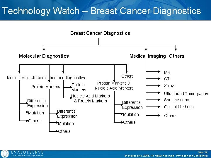 Technology Watch – Breast Cancer Diagnostics Molecular Diagnostics Nucleic Acid Markers Immunodiagnostics Others Protein