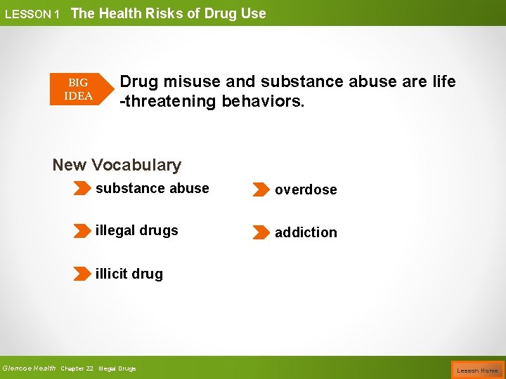 LESSON 1 The Health Risks of Drug Use BIG IDEA Drug misuse and substance