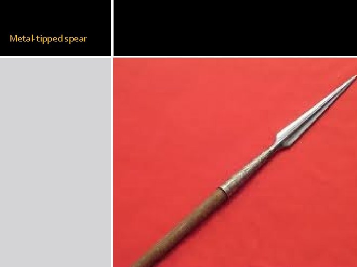 Metal-tipped spear 