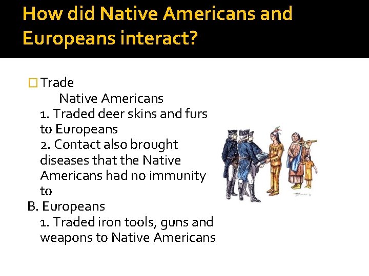 How did Native Americans and Europeans interact? � Trade Native Americans 1. Traded deer