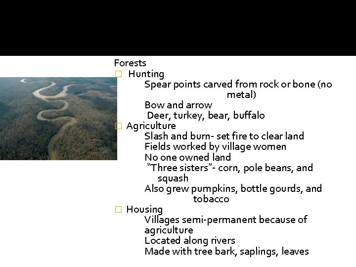 Forests � Hunting Spear points carved from rock or bone (no metal) Bow and