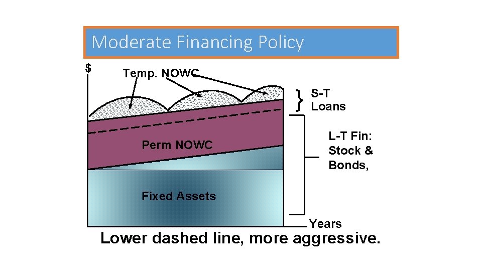 Moderate Financing Policy $ Temp. NOWC } Perm NOWC S-T Loans L-T Fin: Stock