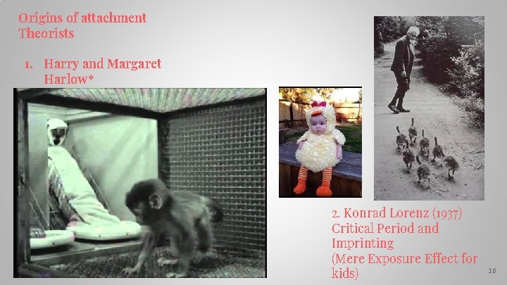 Origins of attachment Theorists 1. Harry and Margaret Harlow* 2. Konrad Lorenz (1937) Critical