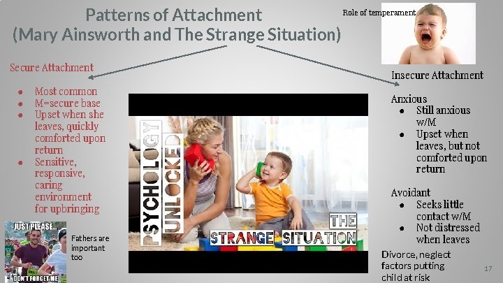 Role of temperament Patterns of Attachment (Mary Ainsworth and The Strange Situation) Secure Attachment