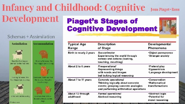 Infancy and Childhood: Cognitive Development Jean Piaget=Boss Schemas + Assimilation vs. Accomodation 9 