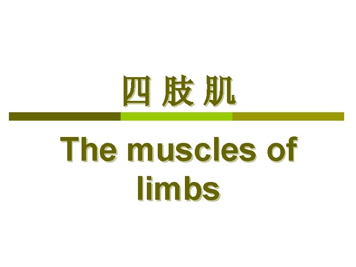 四肢肌 The muscles of limbs 