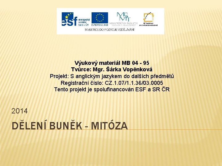 Výukový materiál MB 04 - 95 Tvůrce: Mgr. Šárka Vopěnková Projekt: S anglickým jazykem
