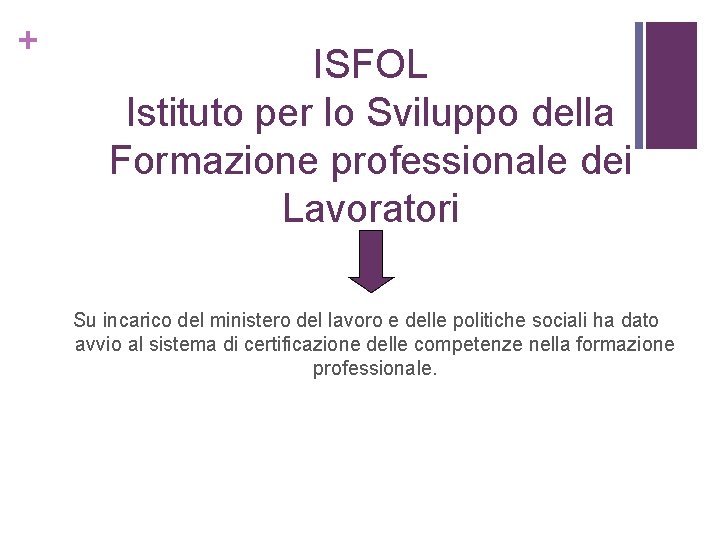 + ISFOL Istituto per lo Sviluppo della Formazione professionale dei Lavoratori Su incarico del