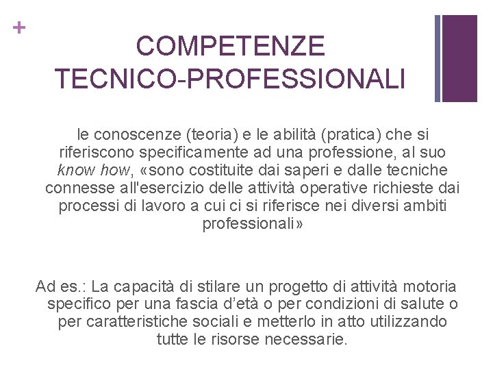 + COMPETENZE TECNICO-PROFESSIONALI le conoscenze (teoria) e le abilità (pratica) che si riferiscono specificamente