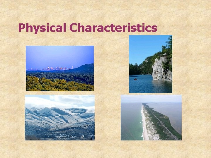 Physical Characteristics 