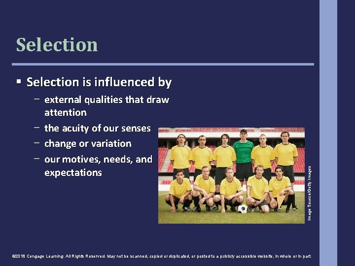 Selection − external qualities that draw attention − the acuity of our senses − Selection − external qualities that draw attention − the acuity of our senses −