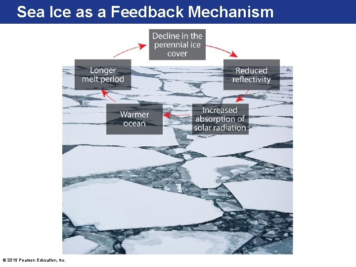 Sea Ice as a Feedback Mechanism © 2015 Pearson Education, Inc. 