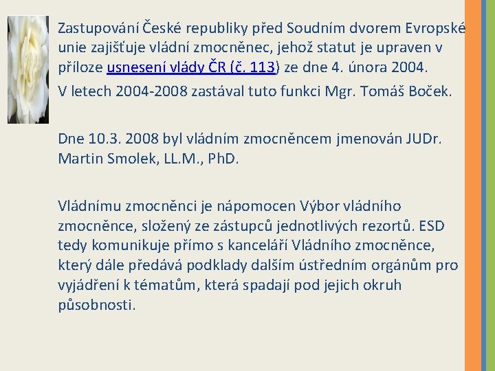 Zastupování České republiky před Soudním dvorem Evropské unie zajišťuje vládní zmocněnec, jehož statut je