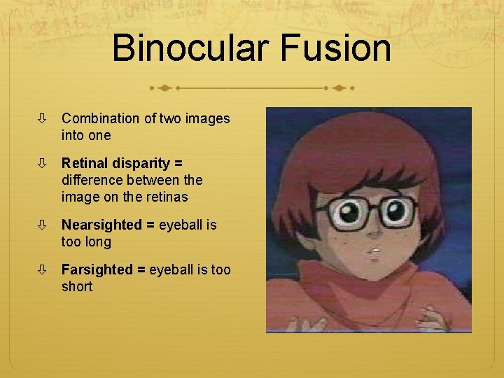 Binocular Fusion Combination of two images into one Retinal disparity = difference between the