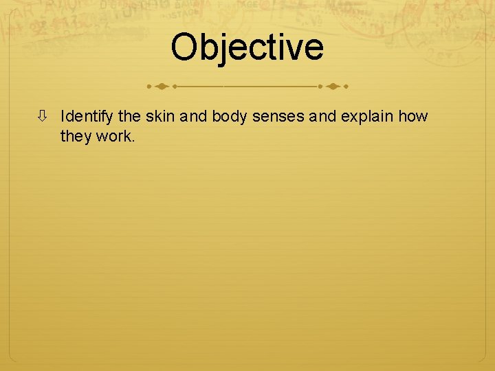 Objective Identify the skin and body senses and explain how they work. 