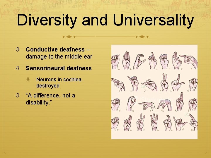 Diversity and Universality Conductive deafness – damage to the middle ear Sensorineural deafness Neurons