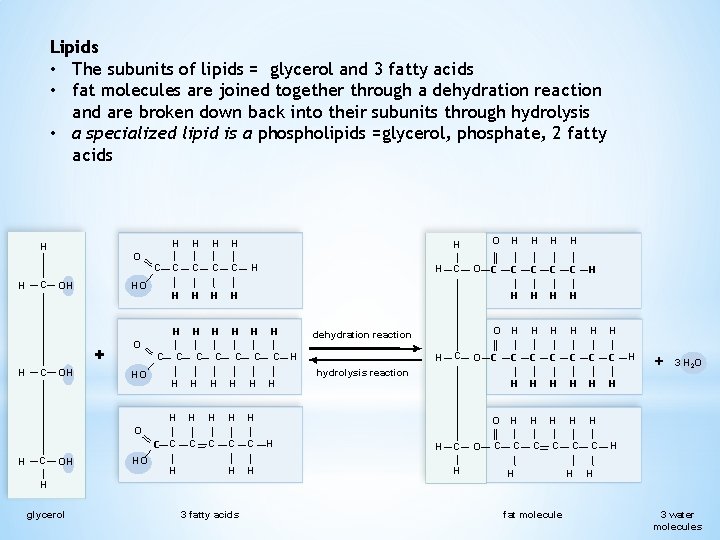 Lipids • The subunits of lipids = glycerol and 3 fatty acids • fat