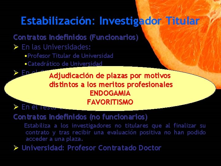 Estabilización: Investigador Titular Contratos Indefinidos (Funcionarios) Ø En las Universidades: • Profesor Titular de