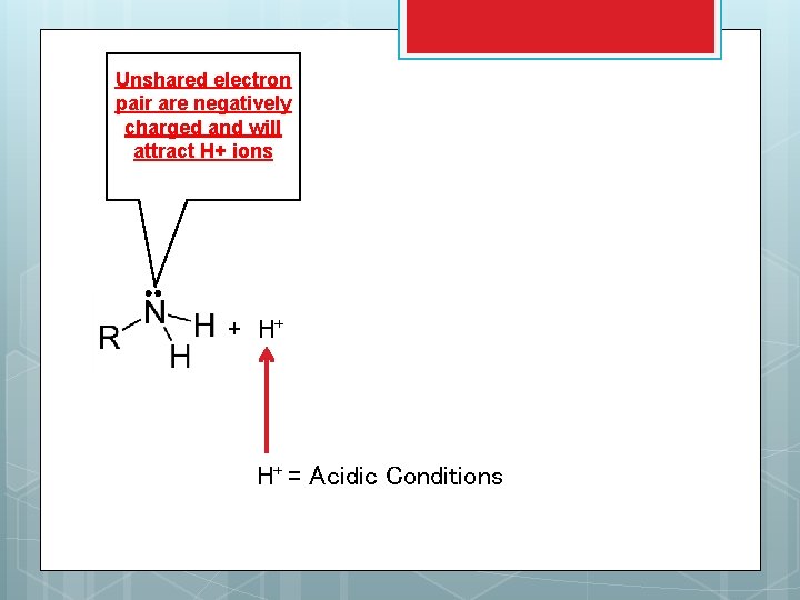 Unshared electron pair are negatively charged and will attract H+ ions H+ + H+