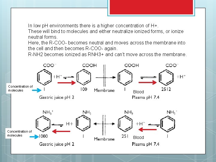 In low p. H environments there is a higher concentration of H+. These will