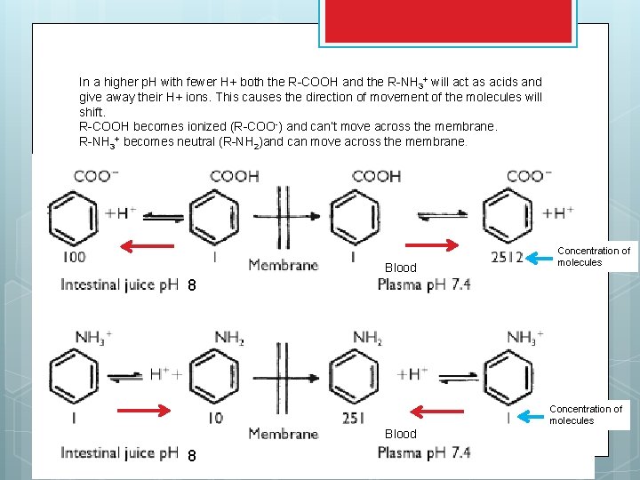 In a higher p. H with fewer H+ both the R-COOH and the R-NH